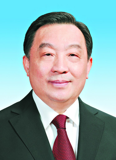 (两会)第十二届全国人民代表大会常务委员会副委员长王晨