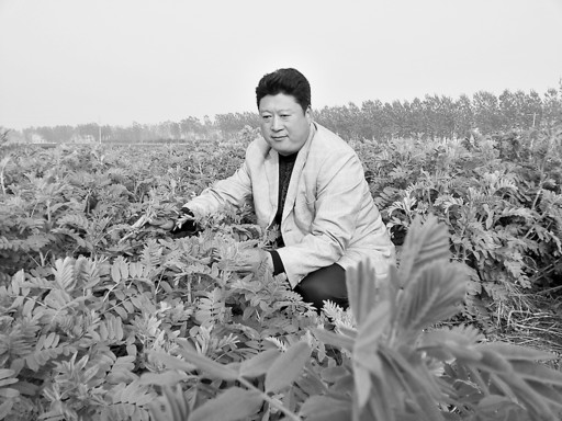 敢于冒险才有机会—记我市首家中草药种植合作社负责人李存才