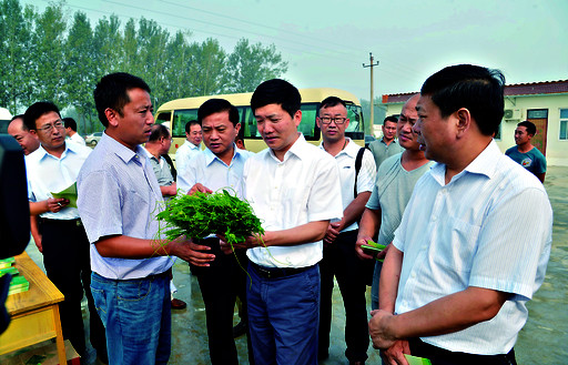 魏小东在浚县调研现代农业发展时强调