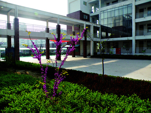 美丽如画的湘江中学校园一角