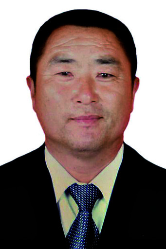 2017河南最美村官